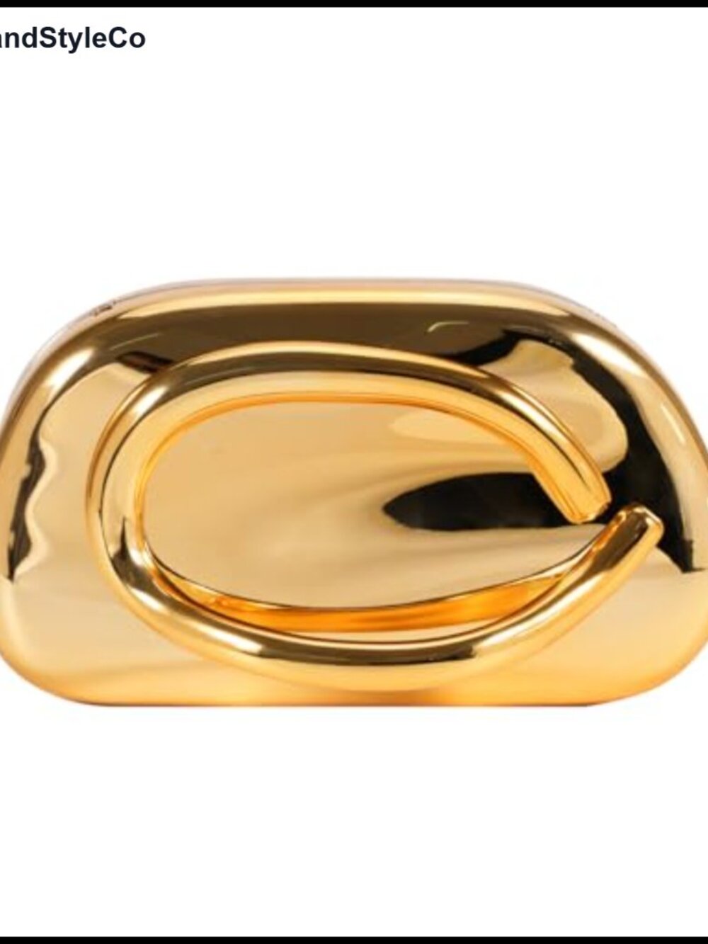 Acrylic Evening Clutch with Metal Handle and Chain Strap